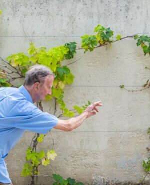 11Homme âgé jouant à la pétanque à la maison de retraite à Marseille La Constance